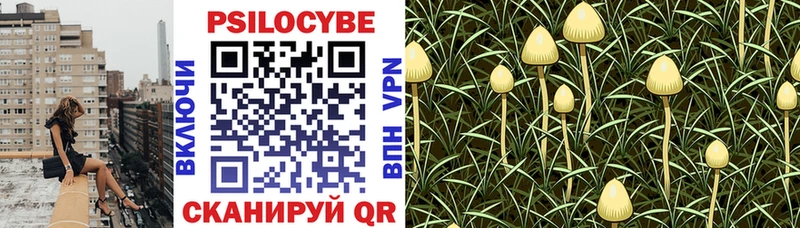 купить наркоту  Юрьевец  shop телеграм  Галлюциногенные грибы мухоморы 